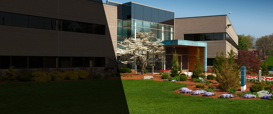 Green Cove Springs Landscapers