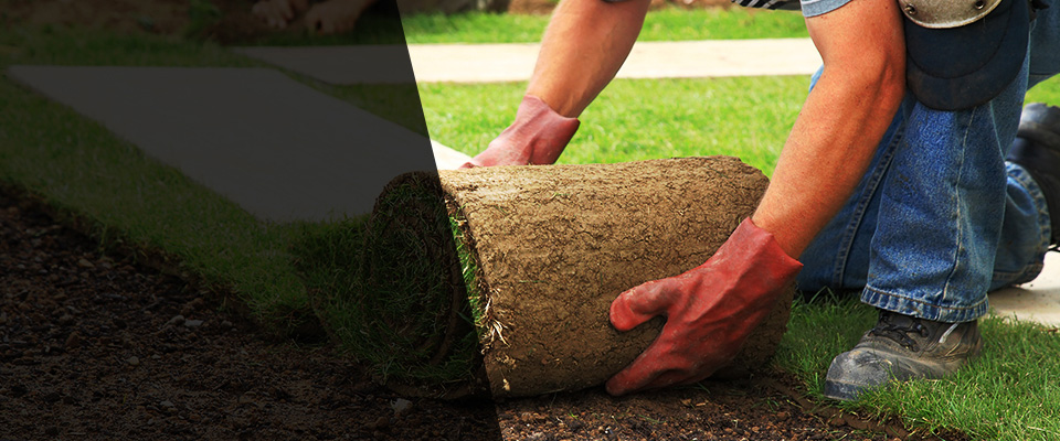 Green Cove Springs Landscapers